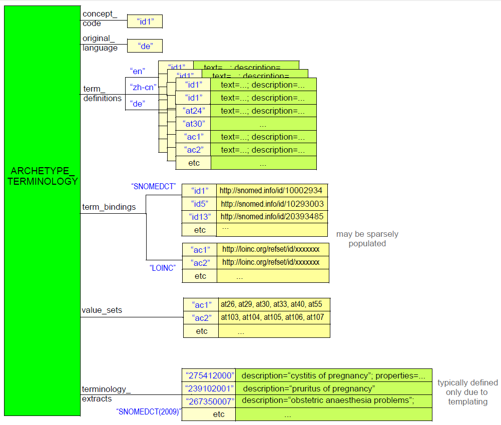 terminology instance structure