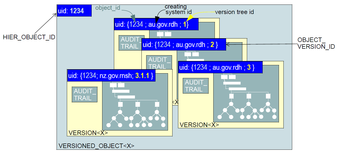 version identification system