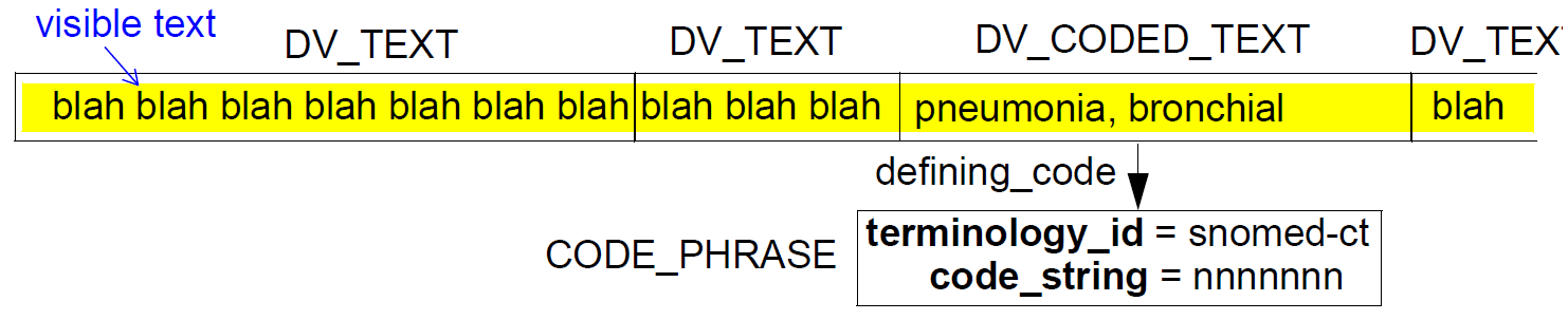 dv paragraph