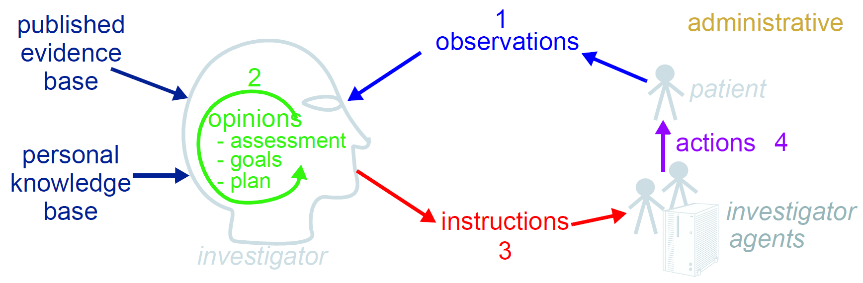 clinical investigator process